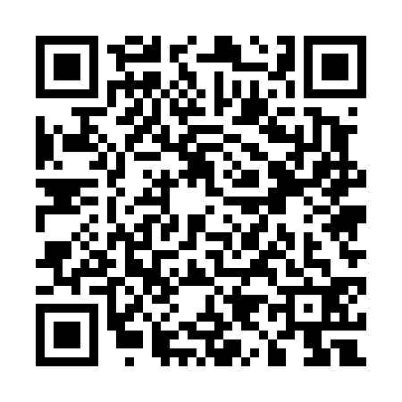 QR code for U954325