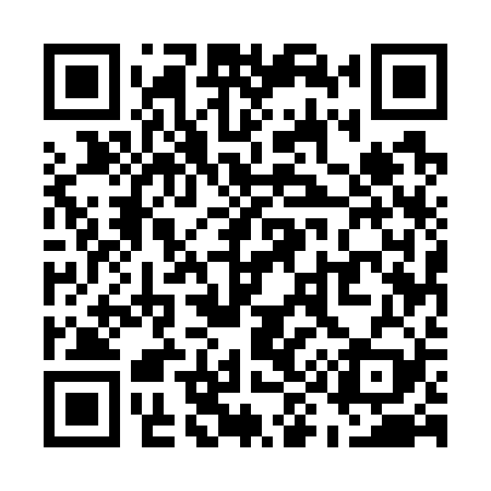 QR code for U95729
