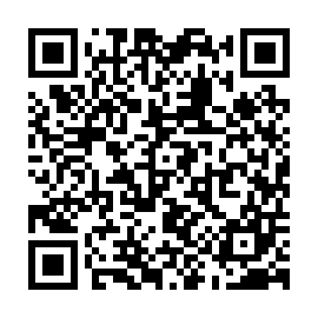 QR code for U99207
