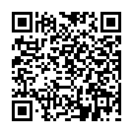 QR code for UA17291