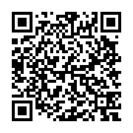 QR code for UAE038