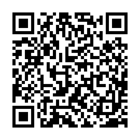 QR code for UAP293