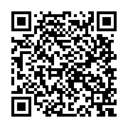 QR code for UBZ593