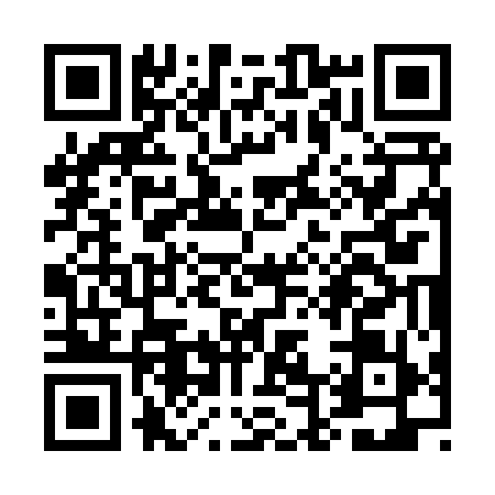 QR code for UD38594