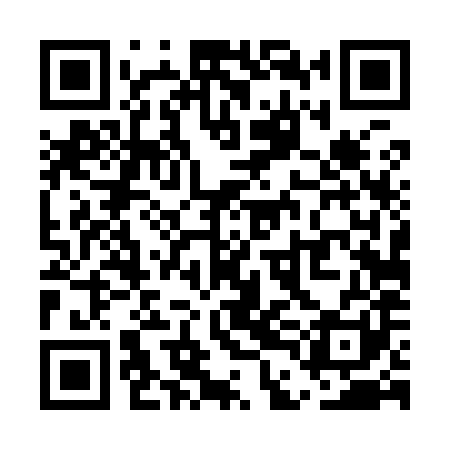 QR code for UDD981