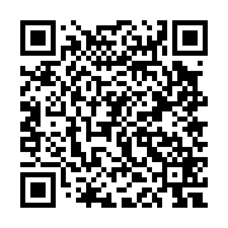 QR code for UDE069