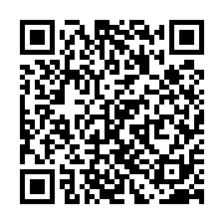 QR code for UDG511
