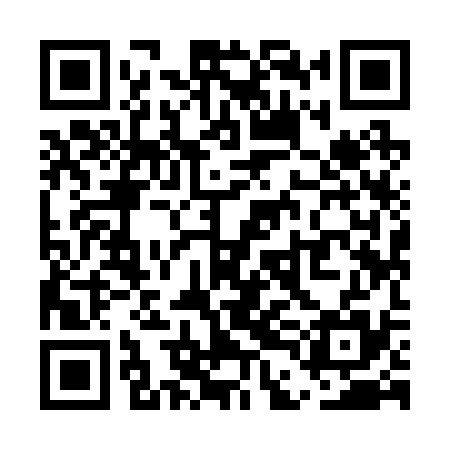QR code for UDI235