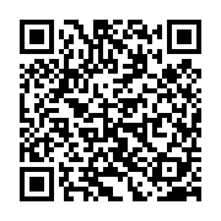 QR code for UDI409