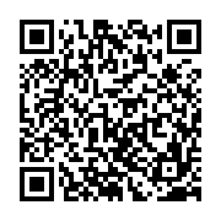 QR code for UDI916