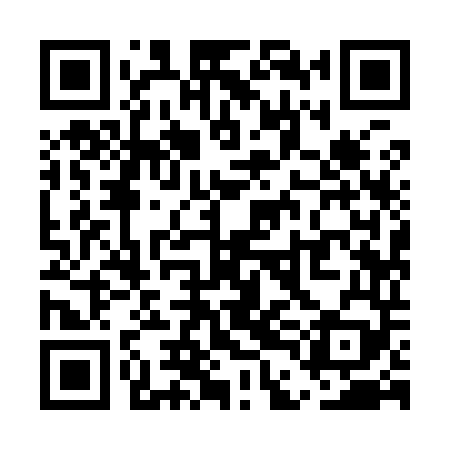 QR code for UDI949