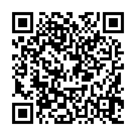 QR code for UDI986