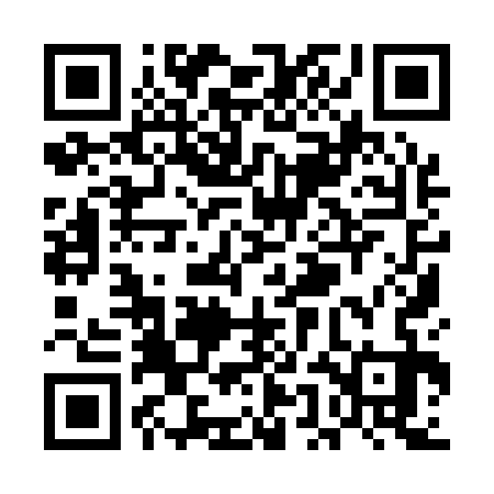 QR code for UEI133