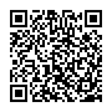 QR code for UFC137