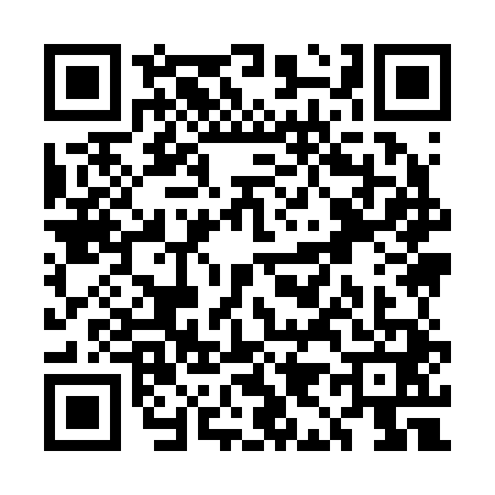 QR code for UI92411