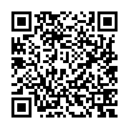 QR code for UL29795