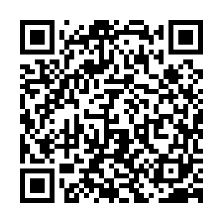 QR code for UN9161
