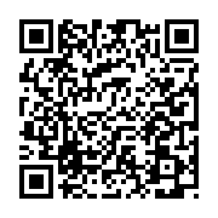 QR code for UR42411