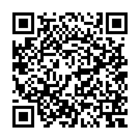 QR code for US31419