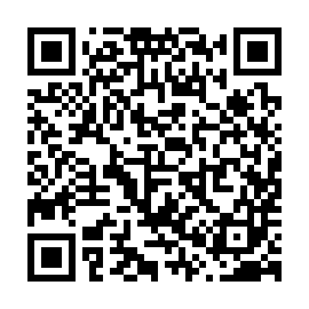 QR code for V01383