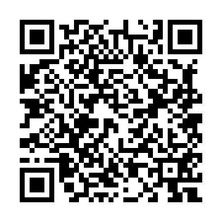 QR code for V028510
