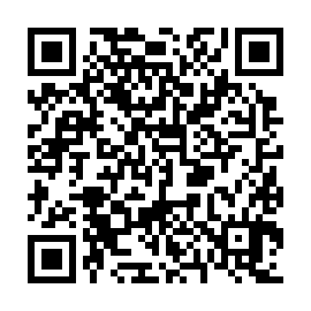 QR code for V06384