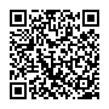 QR code for V06411