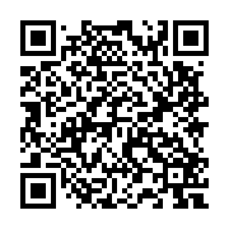 QR code for V09506