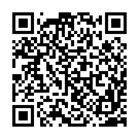 QR code for V11196