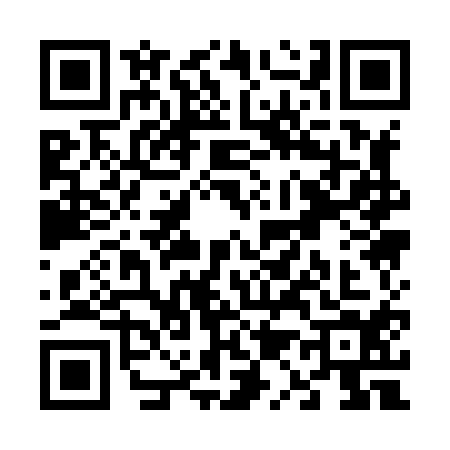 QR code for V118141