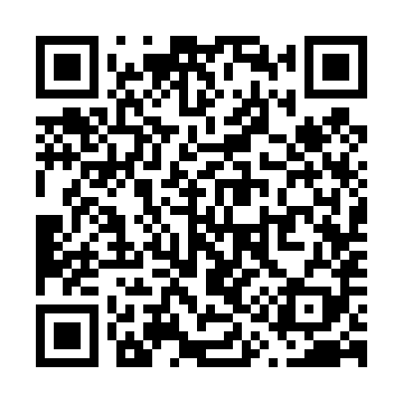QR code for V13489