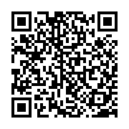 QR code for V13808