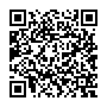 QR code for V141247