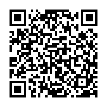 QR code for V14163