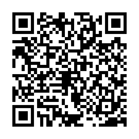 QR code for V167339