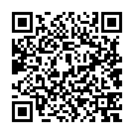 QR code for V168381