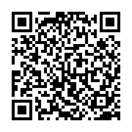 QR code for V17170