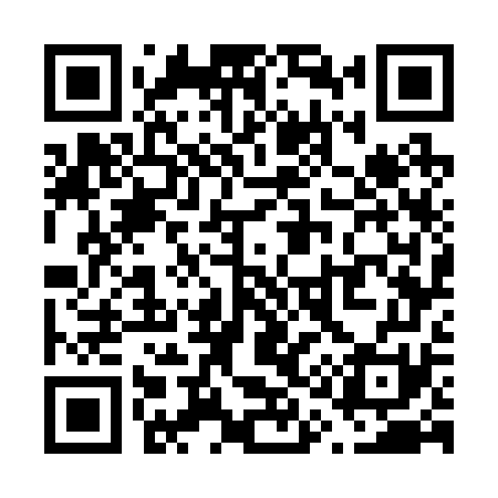 QR code for V17271
