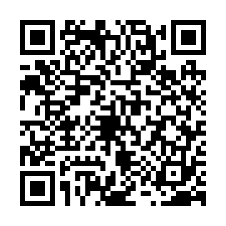 QR code for V172738