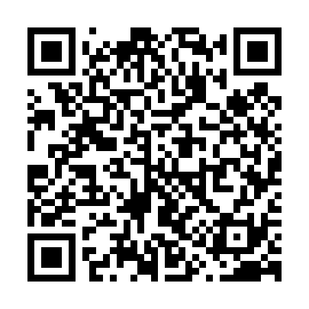 QR code for V17431