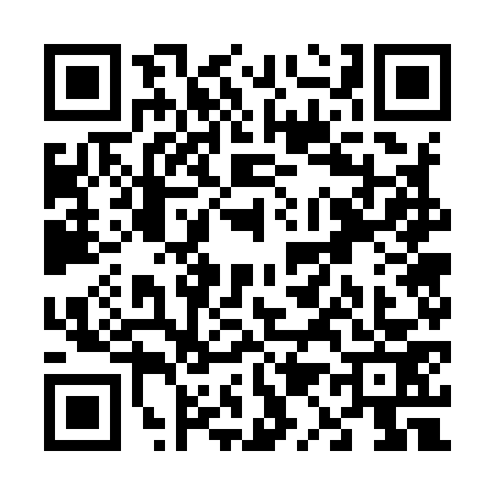 QR code for V179738