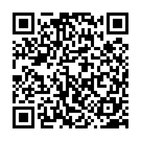 QR code for V19575