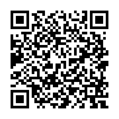 QR code for V196869