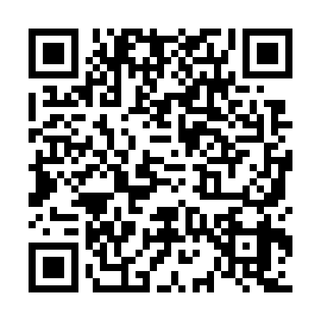 QR code for V197393
