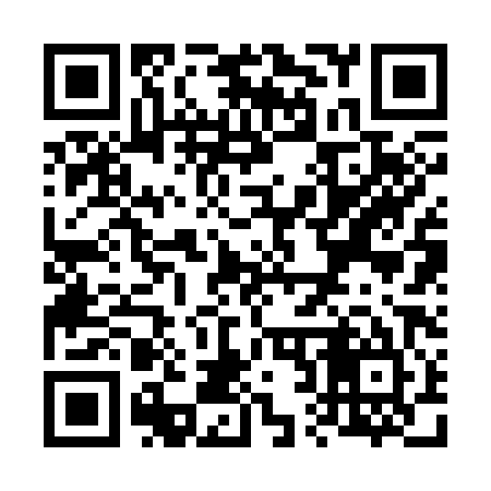 QR code for V22385