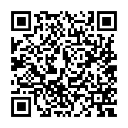 QR code for V229555