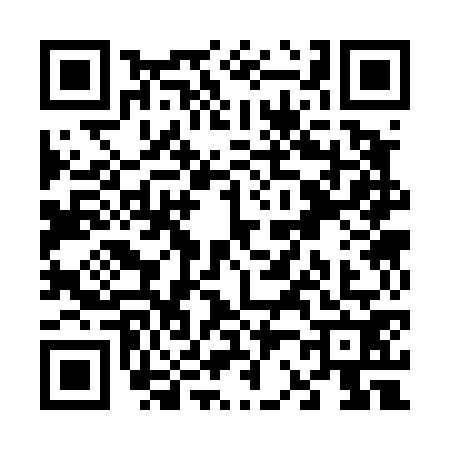 QR code for V234729