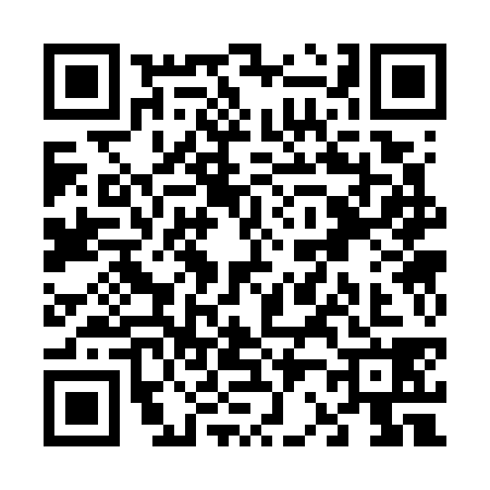 QR code for V237383