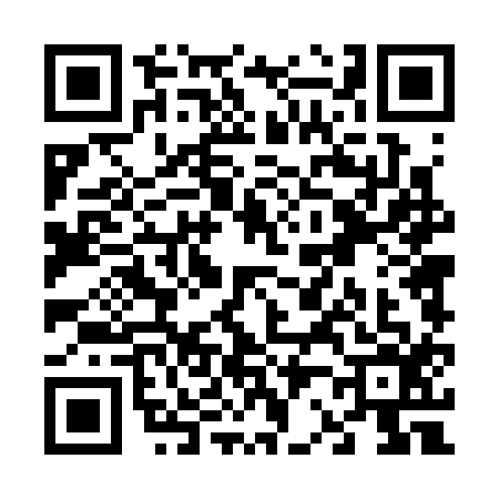 QR code for V243165