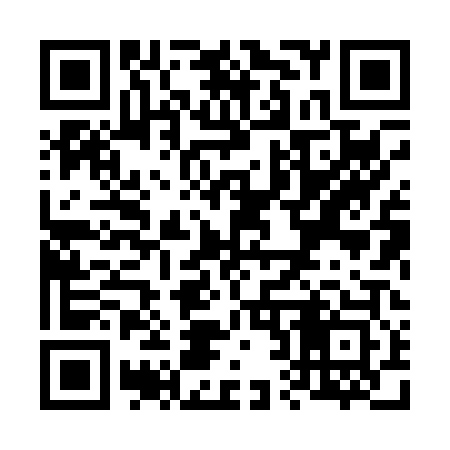 QR code for V28003